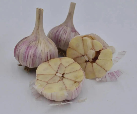 5 Chesnok Red Hardneck Garlic Heads. Plant in Fall for Harvest Next Summer. Easy to Grow.