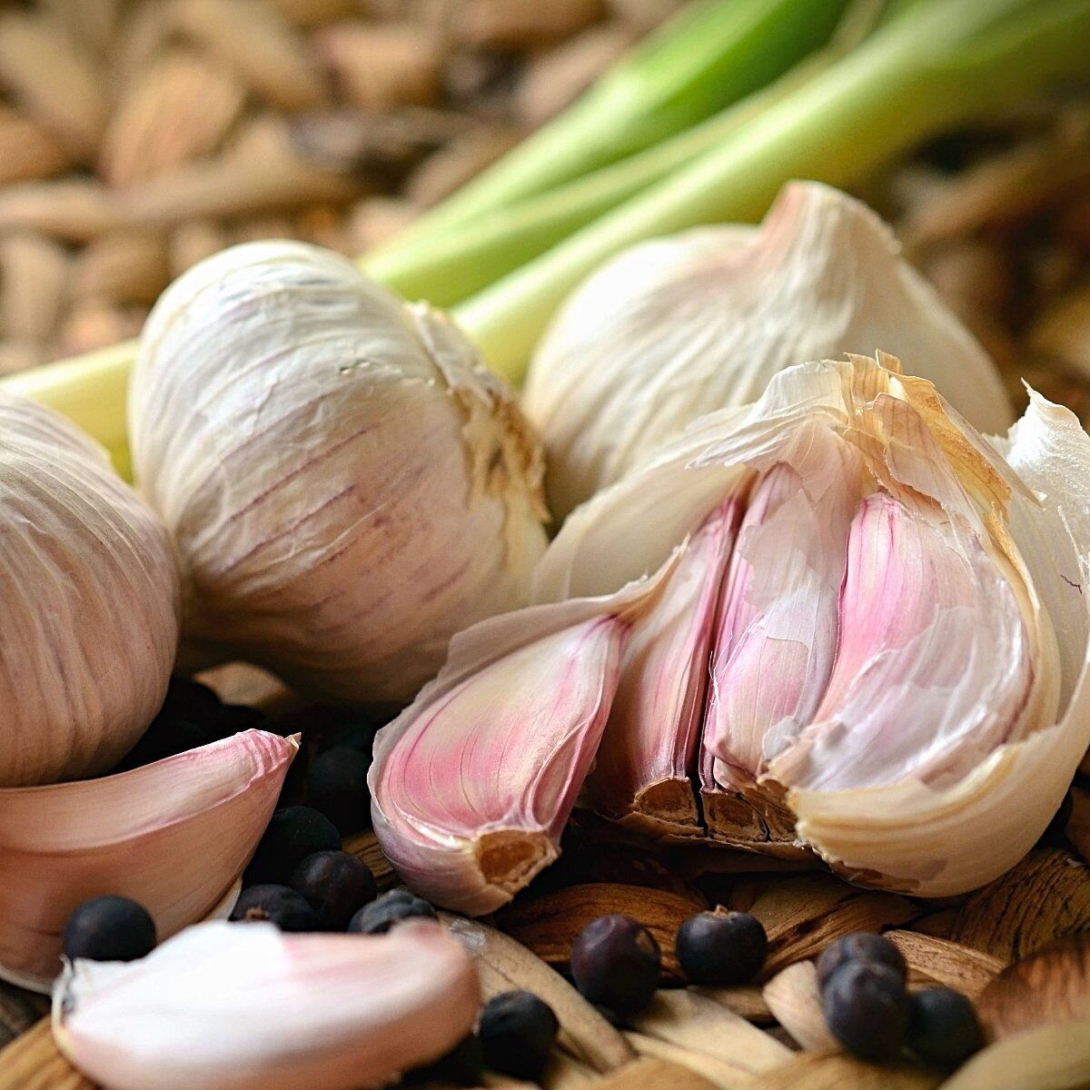 3 Hardneck 'Mennonite' Garlic Heads. Hot & Sharp Raw. Nutty, Full-Bodied Cooked.