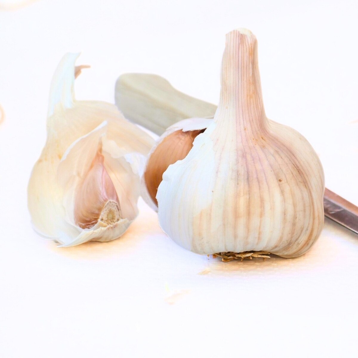 3 Softneck 'Nootka' Garlic Heads. Loved for Beauty, Braidability and Long Shelf Life.