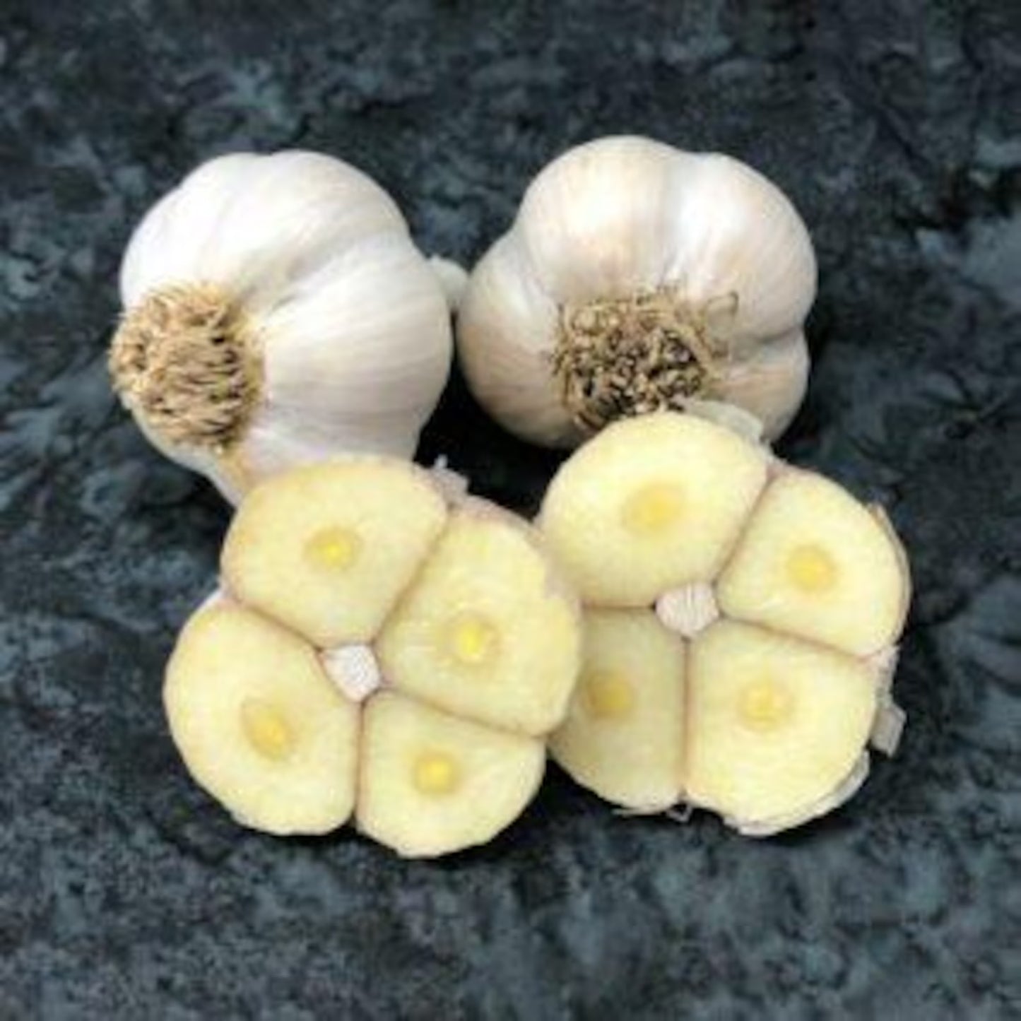 3 German Porcelain Garlic Heads. Contains many cloves. Ready to Plant for Harvest Next Season. Super Healthy As Shown. Rare.
