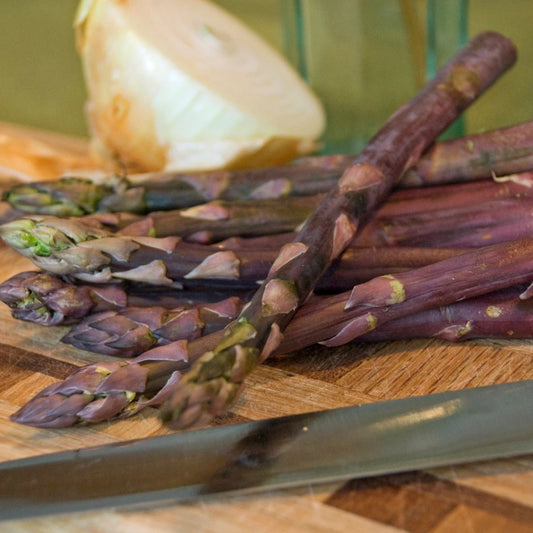 10 Purple Passion Asparagus Crowns. Ready to Plant. Enjoy for years.