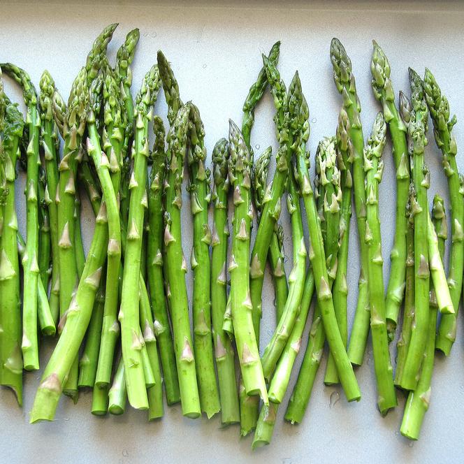 4 Mary Washington Asparagus Starter Perennials For Fall Planting. Heirloom Harvests for the Next Decade.