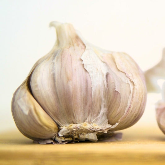 3 Hardneck 'Blue Music' Garlic Heads. Large Cloves. Excellent Storage Life.