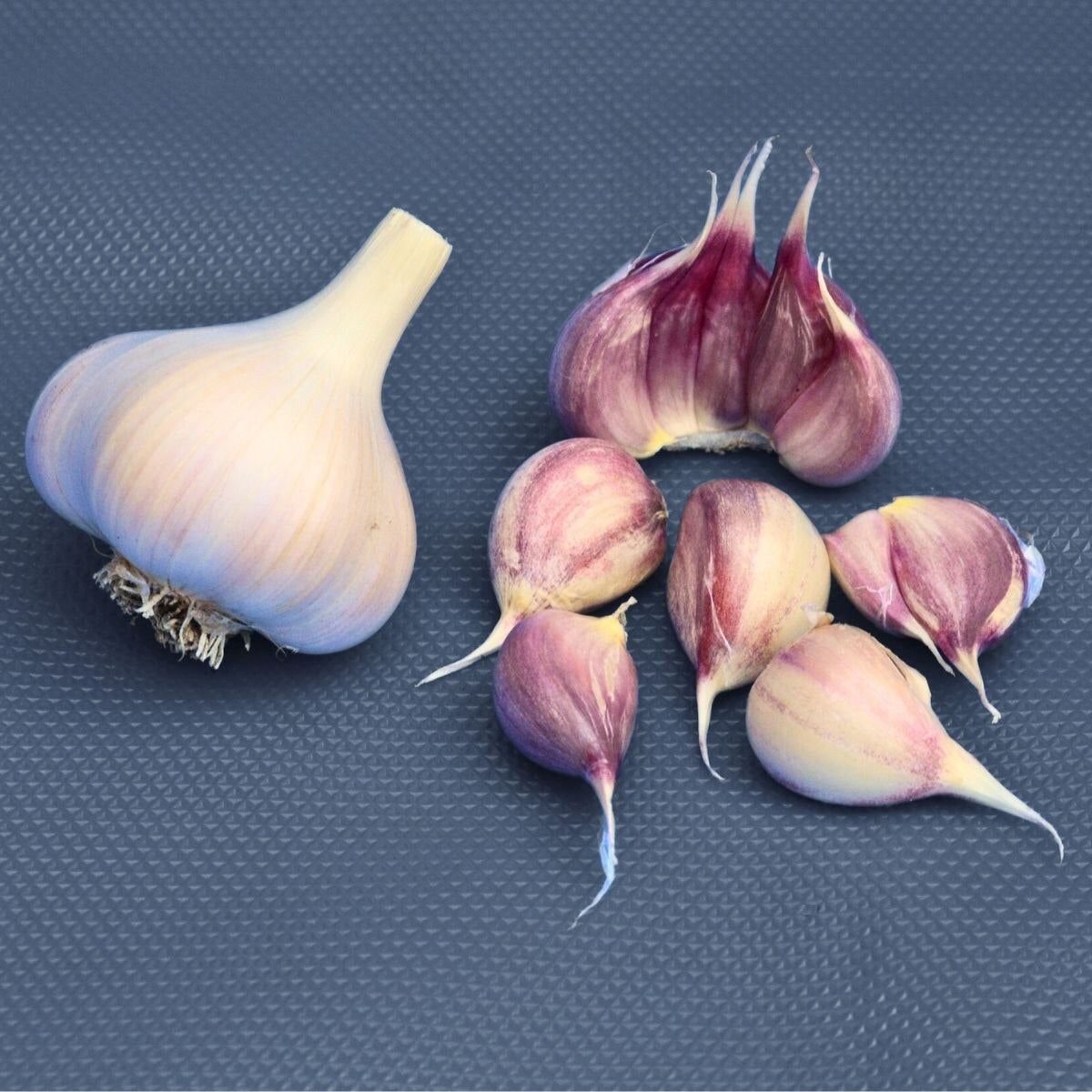 3 Hardneck 'Duganski' Garlic Heads. Intense Hot Raw Flavor. Cooks to Savory, Subtle Sweetness.