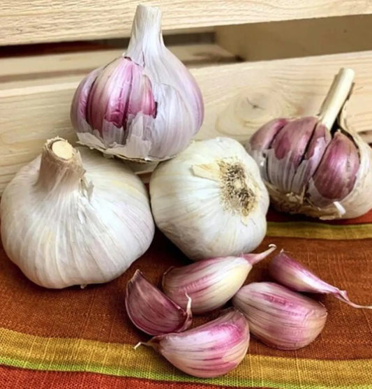 3 Red German Garlic Heads. Ready to Plant for Harvest Next Season.